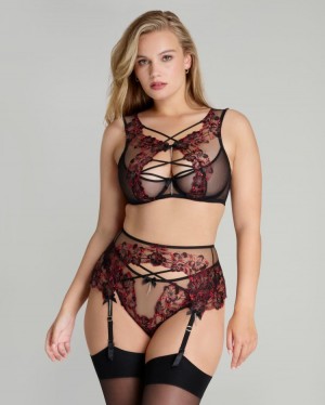 Dámské Podvazkový Pás Agent Provocateur Amoura Suspender Black/Red CZ | X22-4632