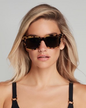 Dámské Sluneční Brýle Agent Provocateur Debie Sunglasses Tortoise/Black CZ | V37-9442